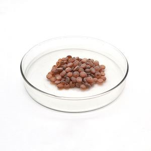 Gomazko antioxidatzailea TMQ 26780-96-1